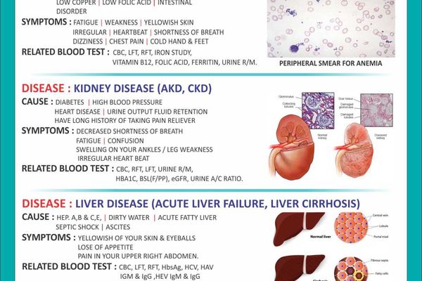 HI-TECH Clinical Laboratory gallery photo 11